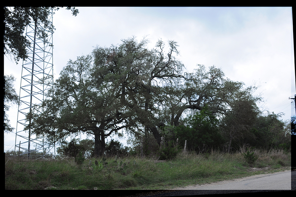 gnarly postcard, outside Austin
