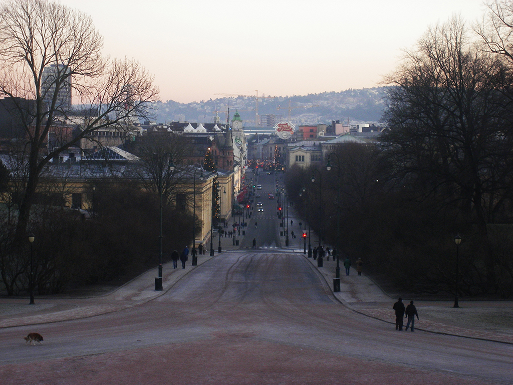 view from the Royal Palace, Oslo