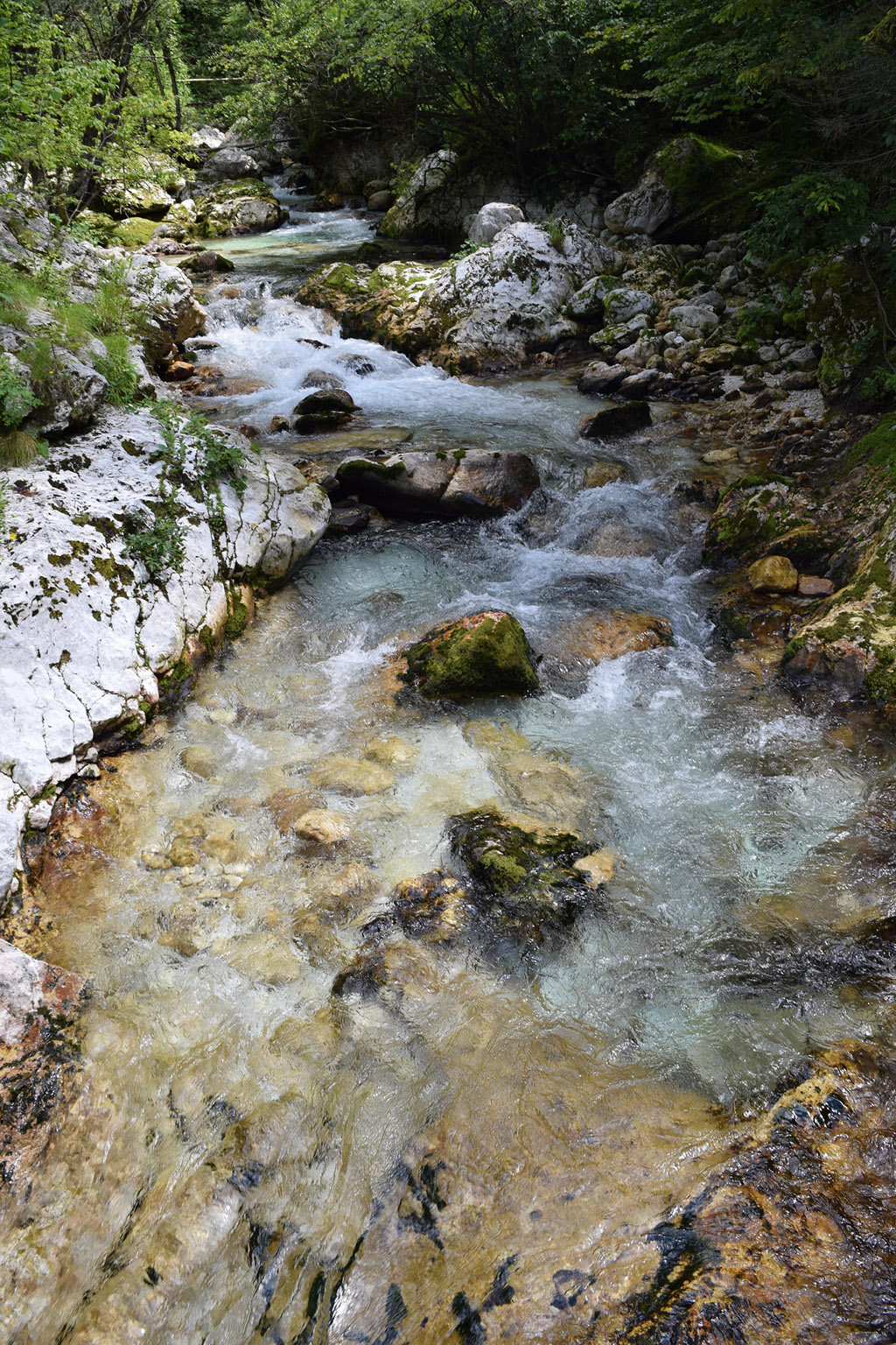 Gljun creek - Bovec, Slovenia