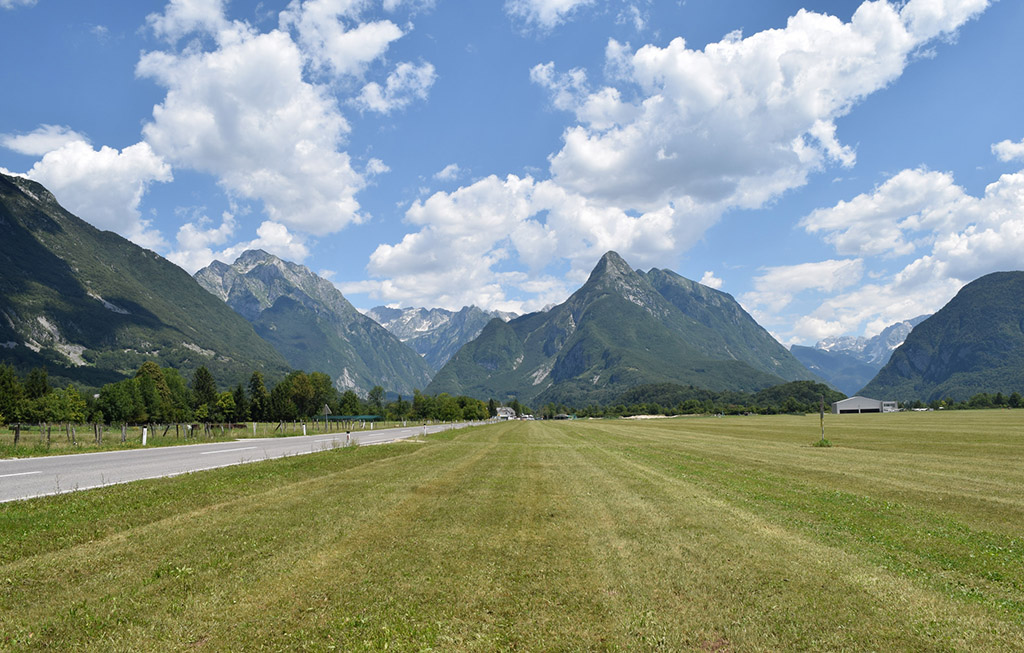 Flowers - Bovec, Slovenia