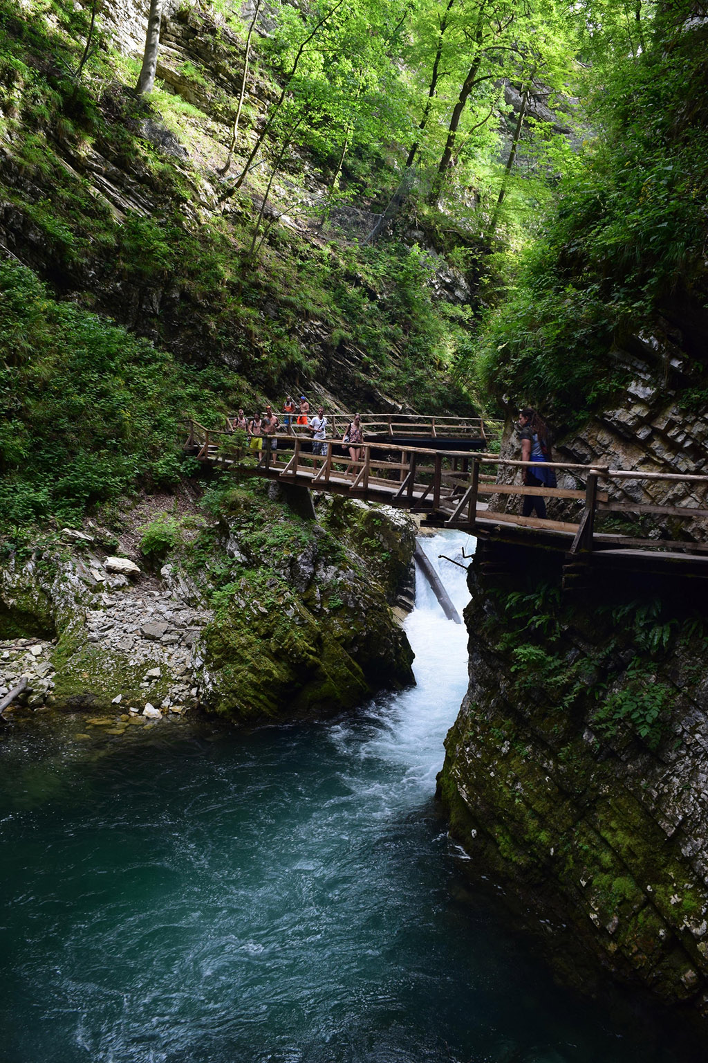 Vintgar Gorge - Bled, Slovenia