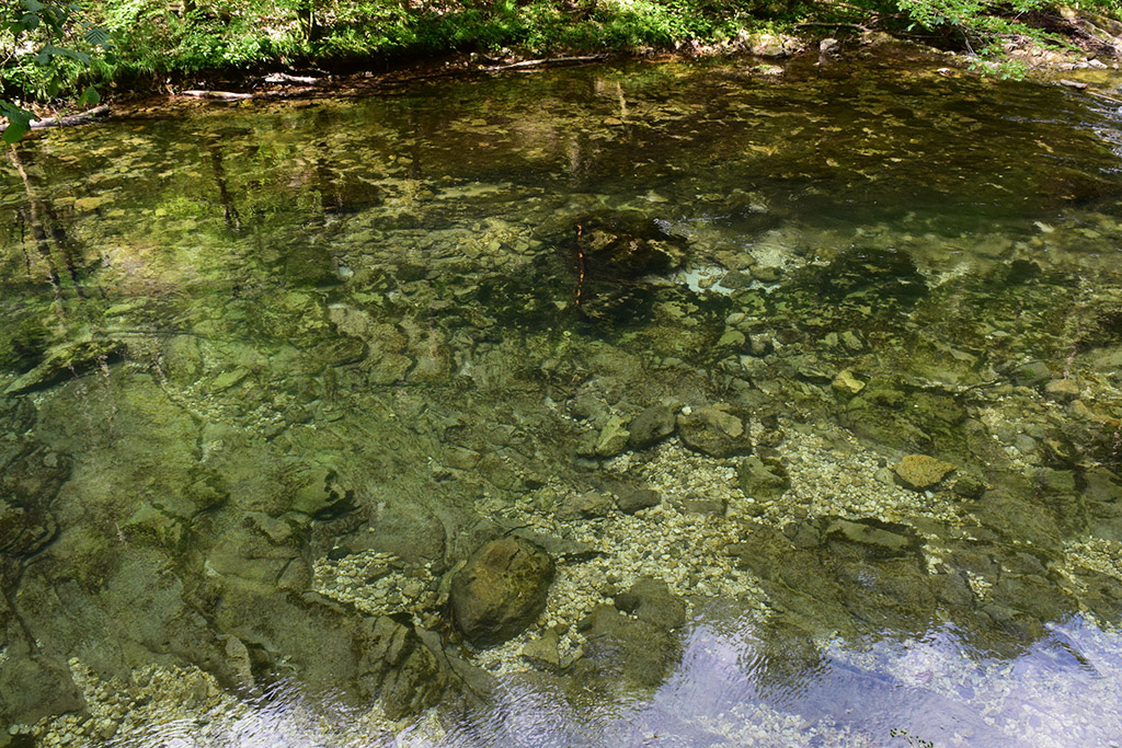 Vintgar Gorge - Bled, Slovenia