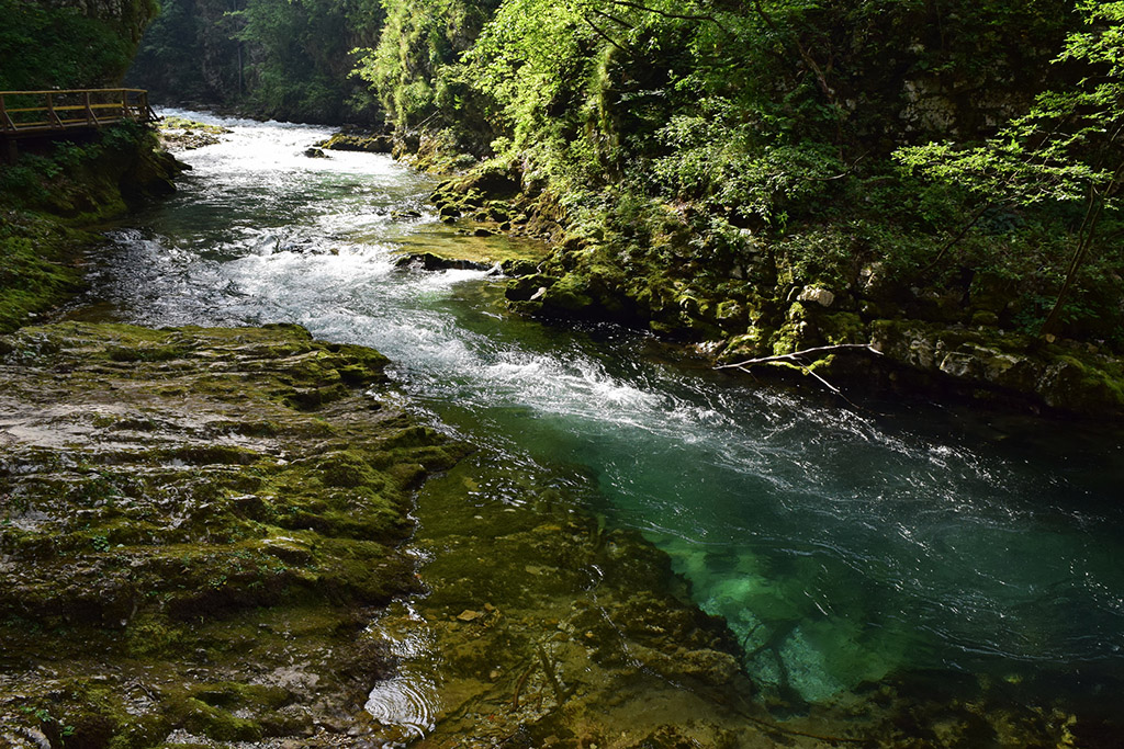 Vintgar Gorge - Bled, Slovenia