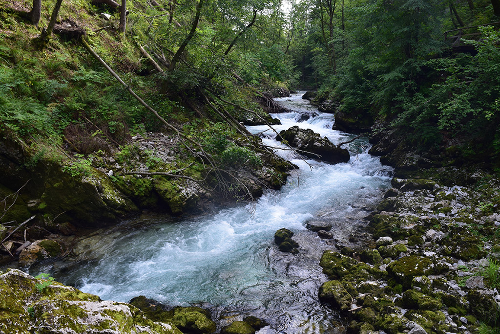 Vintgar Gorge - Bled, Slovenia
