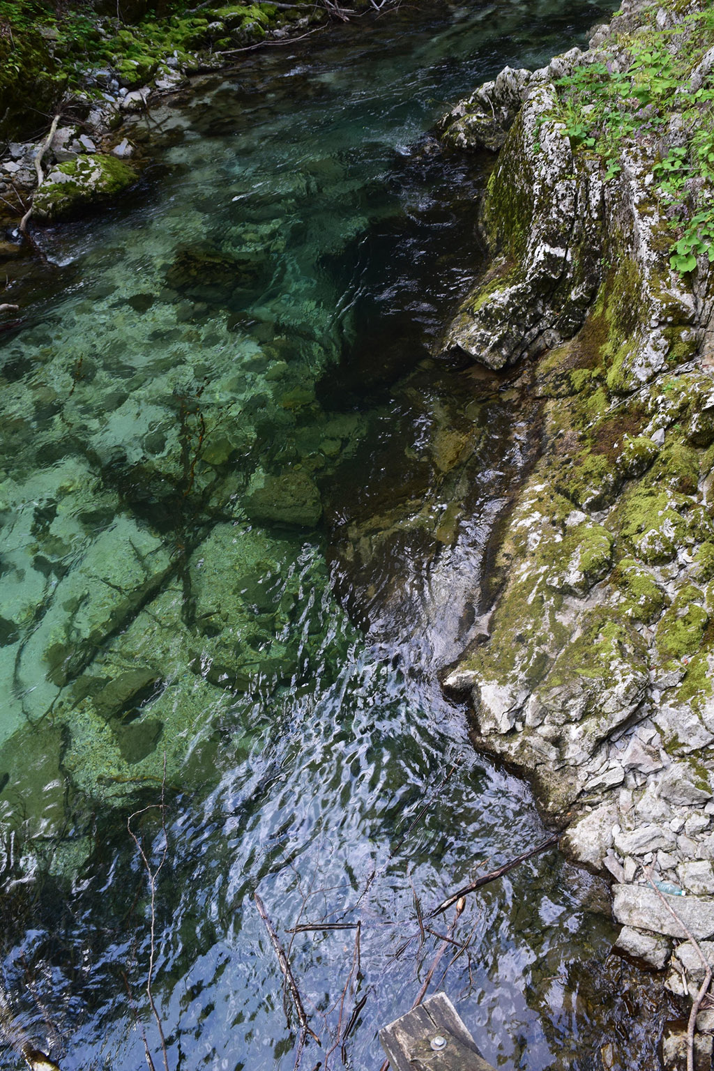 Vintgar Gorge - Bled, Slovenia